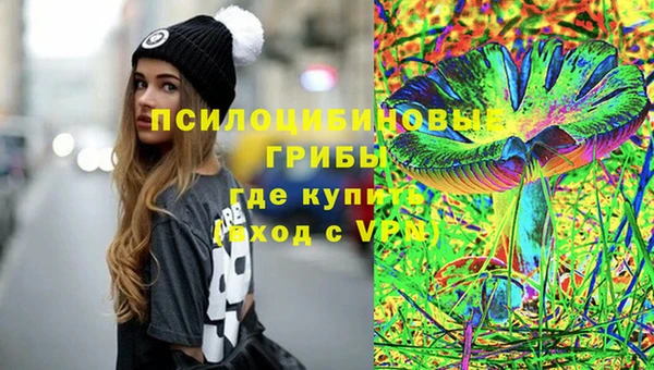 не бодяженный Надым
